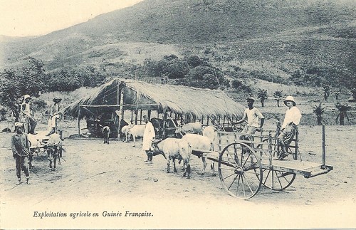 Carte postale afrique guinee - carte,