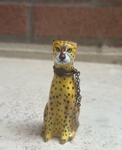 Boite pilules guépard en - pilules,