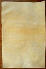 Grande peau vélin véritable