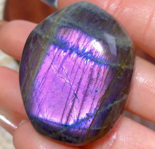 Cristal labradorite bleu - 1x,