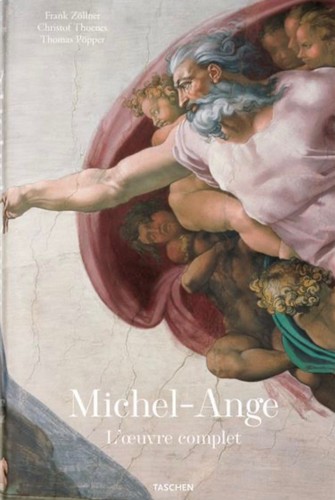 Livre michelangelo - livre,
