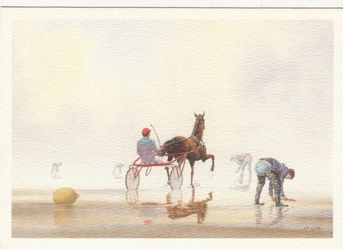 Carte postale postcard cheval - carte,