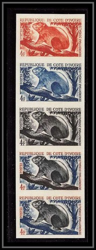 1044b cote ivoire ivory - cote,