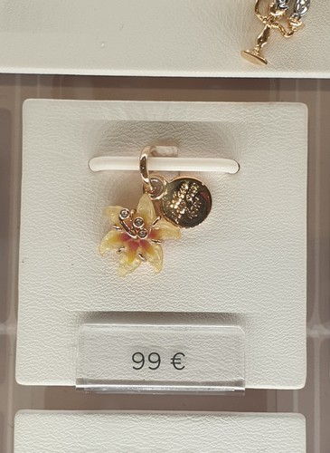 Charm disney raiponce - disney,