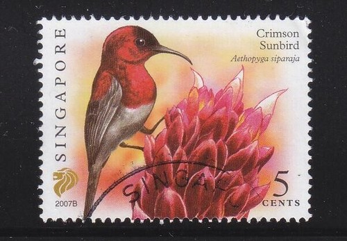 Singapour 2007 crimson sunbird - singapour,