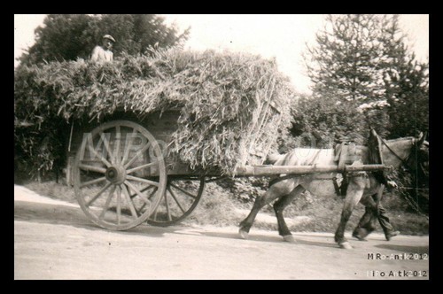 Photo ww1 paysan polonais - photo,,
