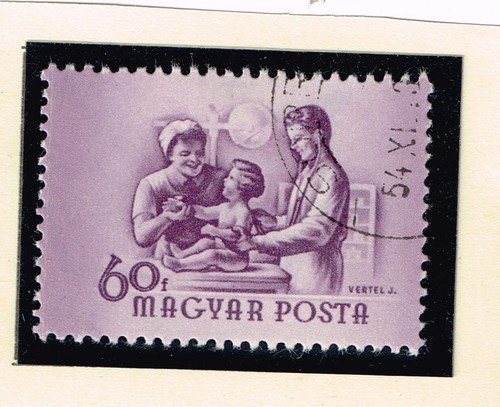 Hungary medicine hospita nurse - medicine,