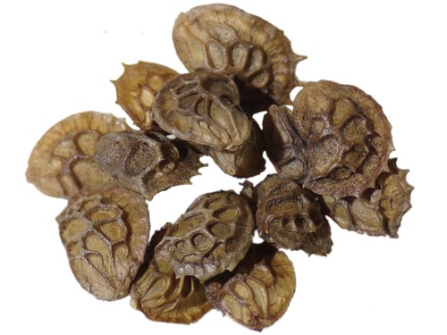Sainfoin cosse bio - sainfoin,
