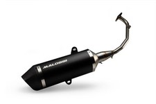 Pot d'échappement MALOSSI RX