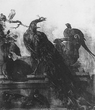 OISEAUX dans un PARC - Gravure
