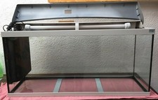 Aquarium 110 L avec 