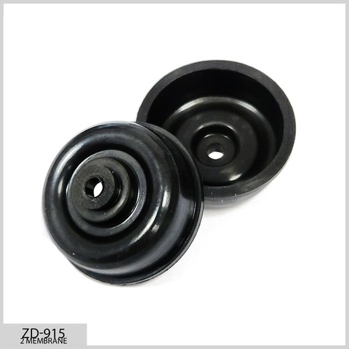 Paire membranes rechange pompe - membranes,