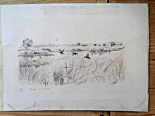 Gravure originale signée et