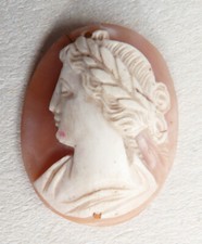 Camée sur coquille 19e