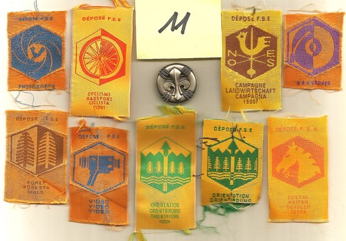 Insigne brevets fse - brevets,