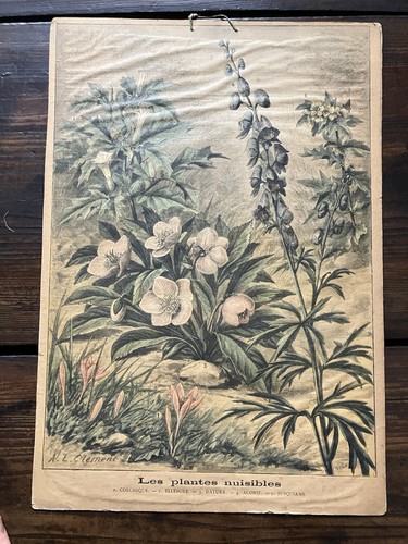 Lots planches - lots, 6