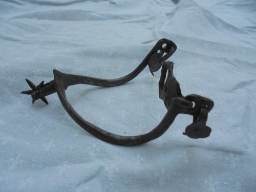 Asser rare eperon moyen - asser,