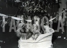 Photo De Presse Vintage