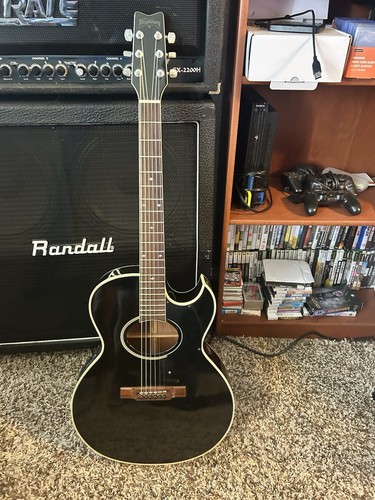 Washburn ea44b acoustic - washburn,
