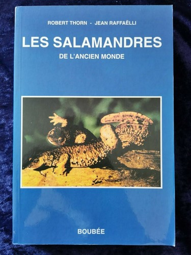 Les salamandres ancien - les, de