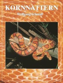 Kornnattern die gattung - kornnattern:,