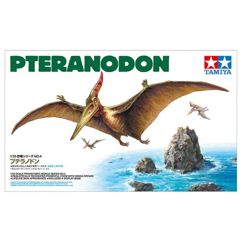 Maquette dinosaure pteranodon - maquette,