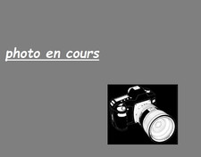 gewichte für kuckucksuhr