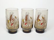 Lot 3 VERRES FUMÉS noir Épis Champêtre Limonade Eau Rétro Vintage Verre 70's Arc