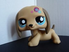 petshop géant chien grand