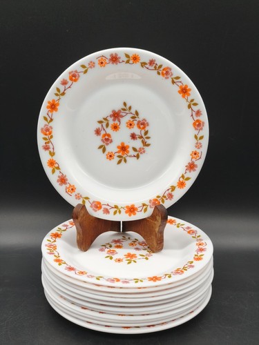 Lot assiettes dessert - lot, 12