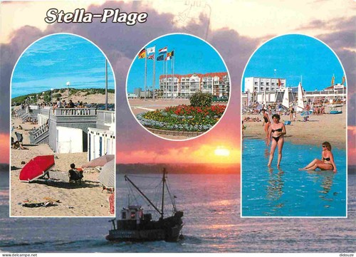 Carte postale stella - -,