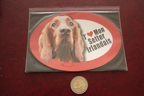 Grand magnet chien setter - magnet, /