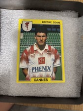 Carte Panini 
