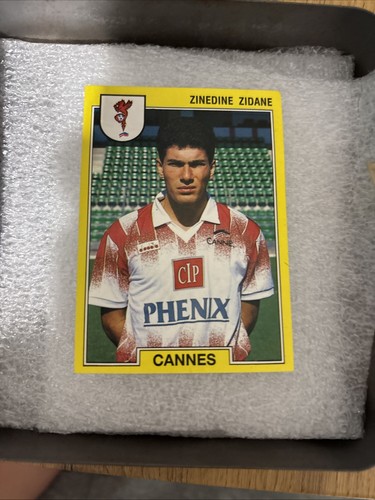 Carte panini - panini,