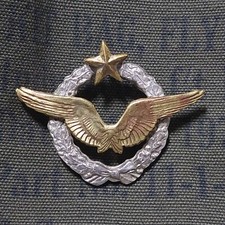 pilote ww1 matricule  . French pilot wings . Aviation 14-18