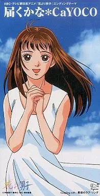 Cayoko will arrive anime - cayoko, tv