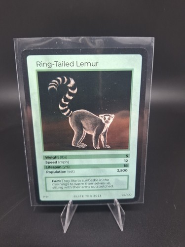 Ring tailed lemur - ring,