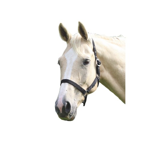 Wessex licol - licol, (er532)
