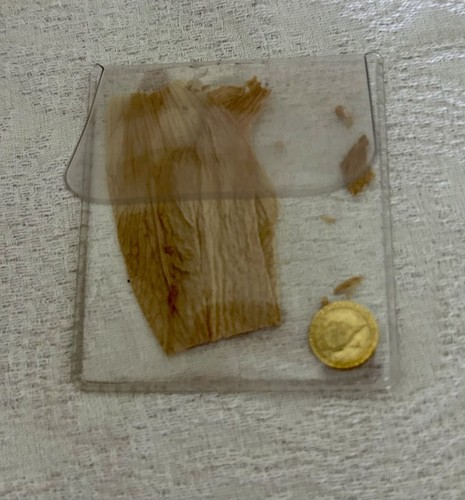 Rare 14k gold - 14k, xxiii