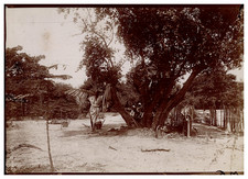 Afrique, Mali, Kayes, Jardin public, Tirage vintage, ca.1890 Afrique, Mali, Kaye