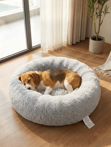 Lit pour chien - petits,