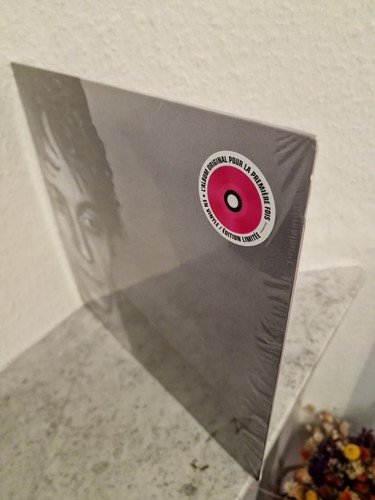 Raphaël caravane vinyle rose - raphaËl,