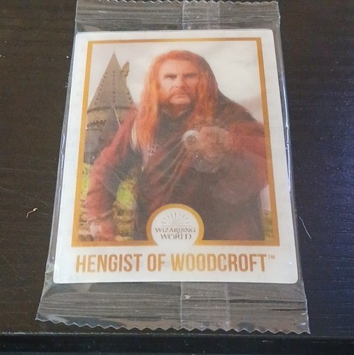 Harry potter wizarding world - harry,