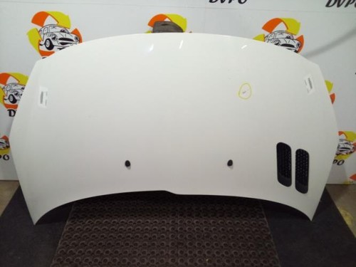 Capot peugeot 206 - 206+, 7901r5