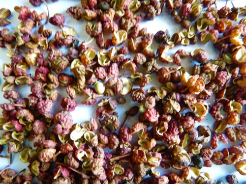 Poivre sichuan g saveur - sichuan,