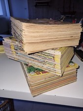 ARDAN "TIM L'AUDACE"