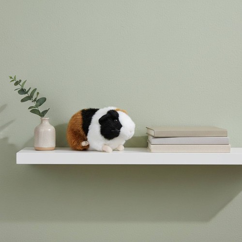 Cochon inde peluche - cochon, en