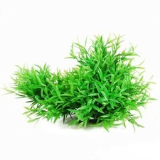 Plante Fausse Plante En