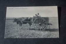 ILE DE RE ATTELAGE D UN BOEUF AVEC COLLIER CARTE POSTALE ANIMEE