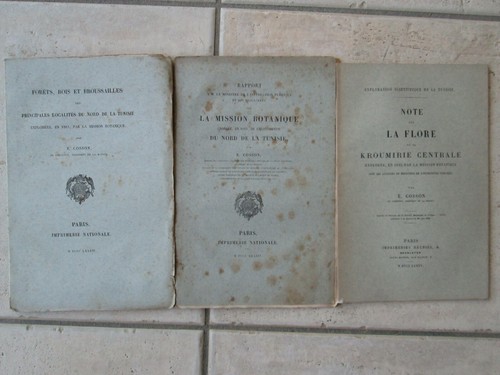 Cosson exploration - :,